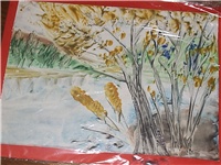 e9392111-drvo iznad vode.jpg
